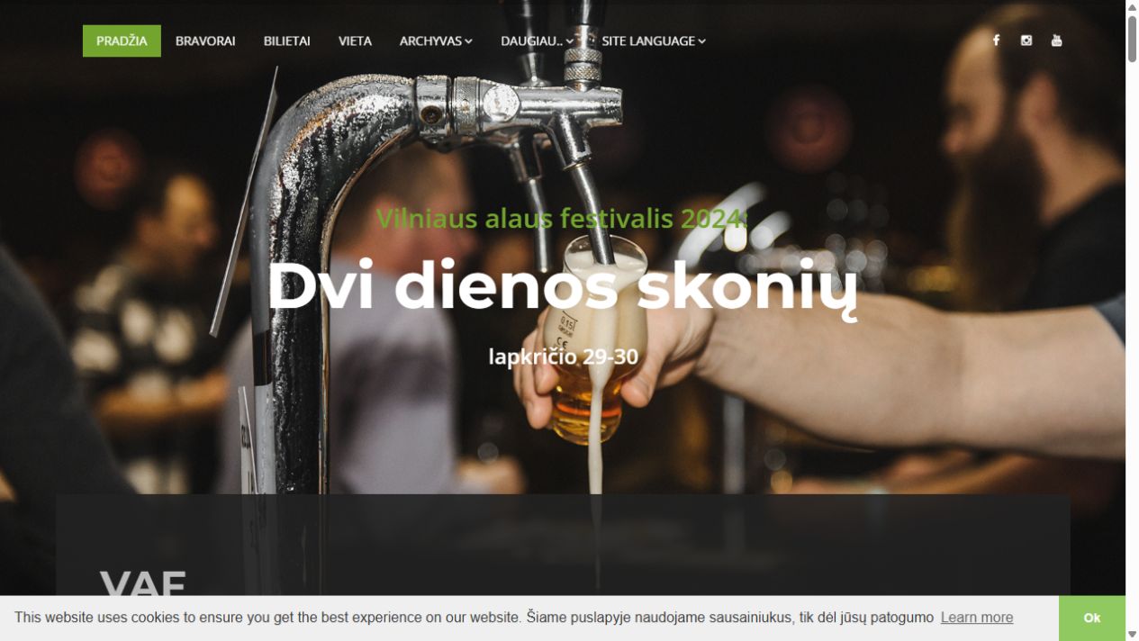 Vilniaus alaus festivalis svetainės ekranvaizdis
